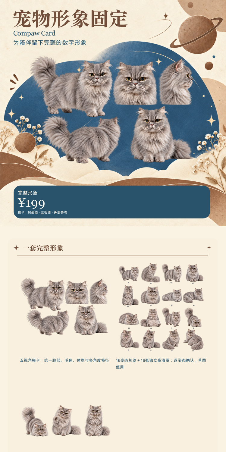 宠物形象固定详情第1段