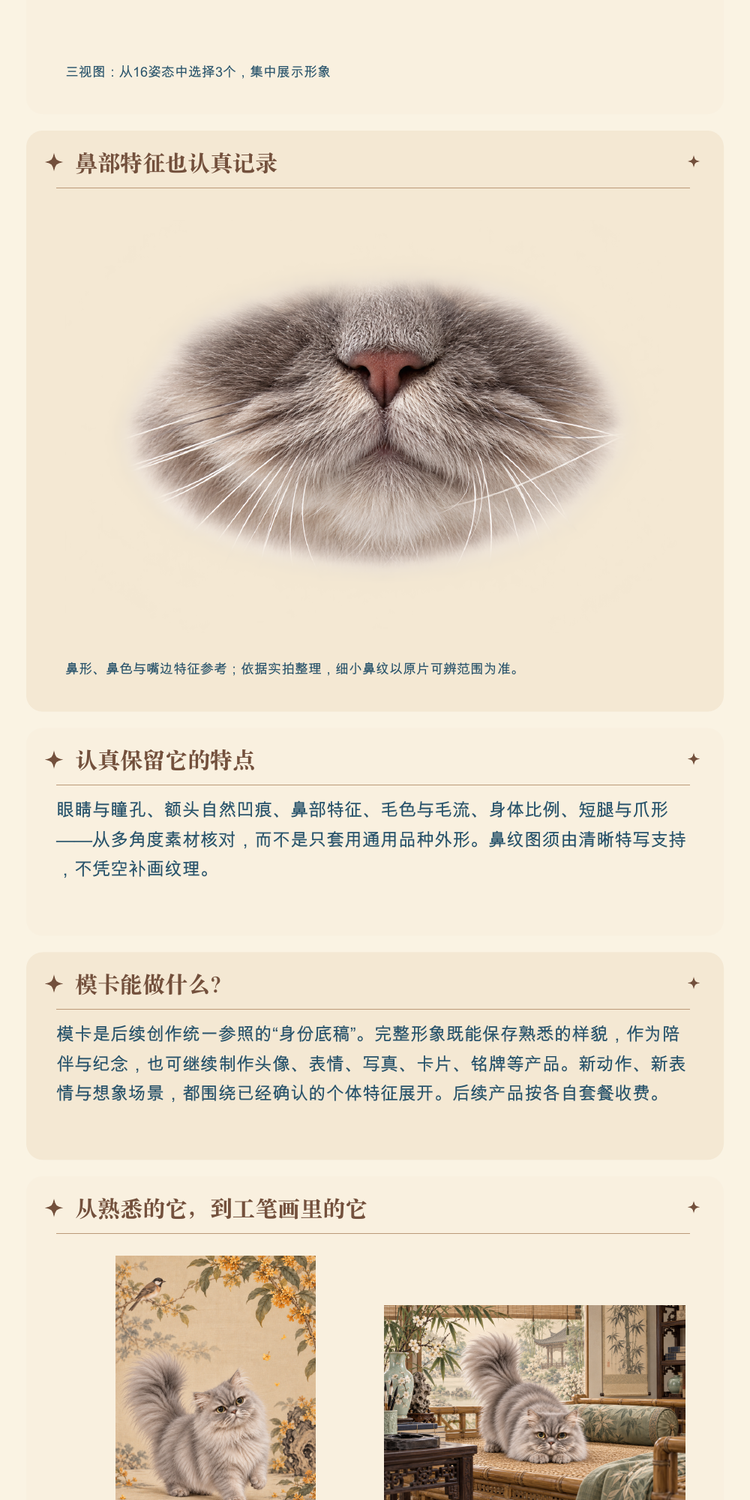 宠物形象固定详情第2段