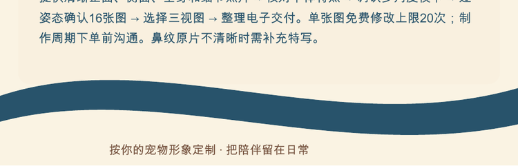宠物形象固定详情第4段