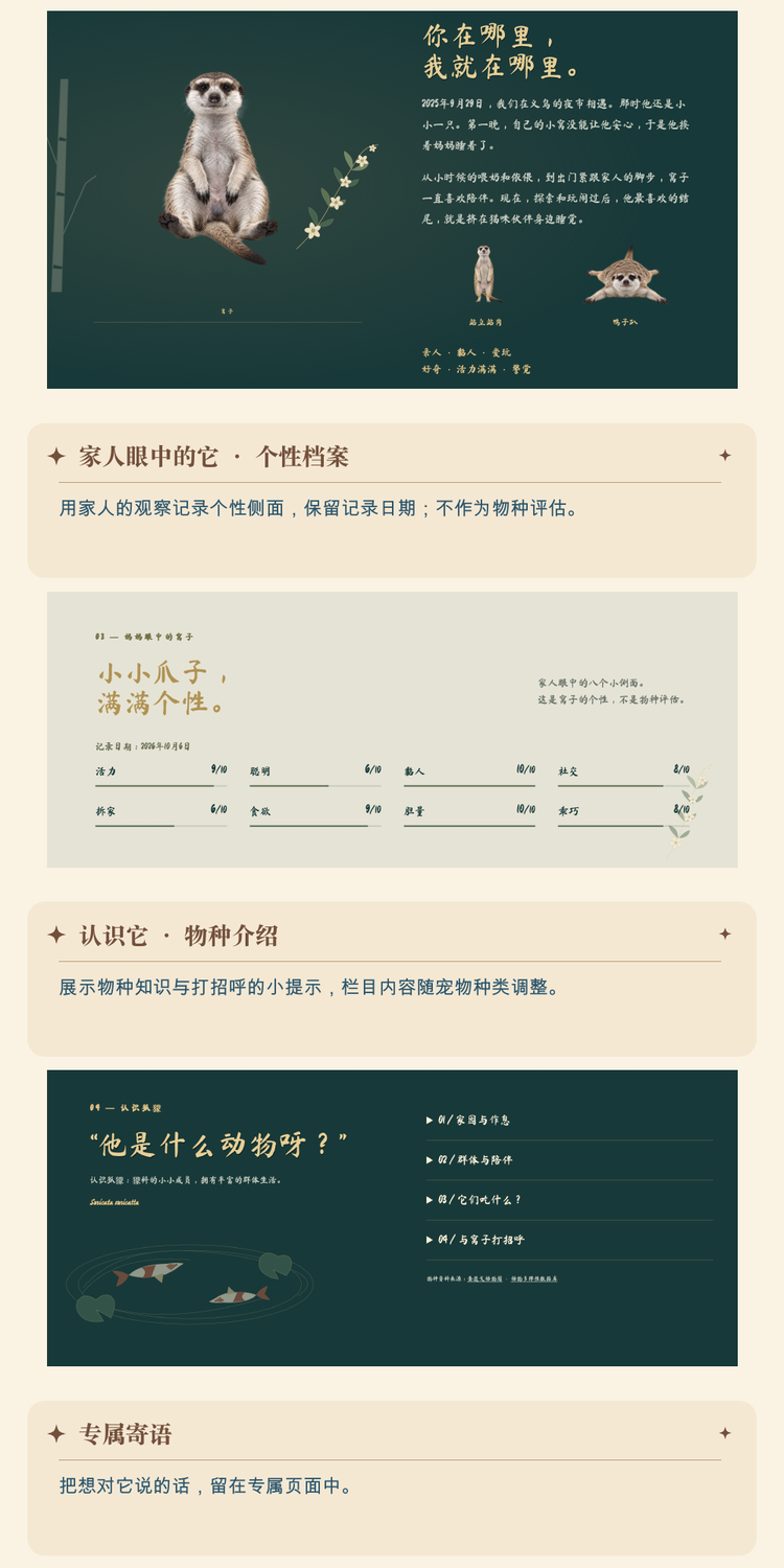 爪爪主页详情第4段